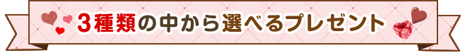 3種類から選べるプレゼント