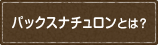 パックスナチュロンとは？