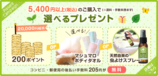 7月のキャンペーン