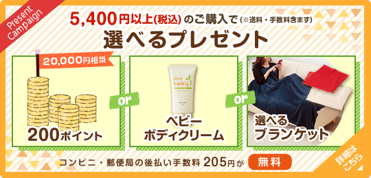 11月のキャンペーン