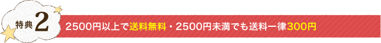 特典2：2500円以上で送料無料・2500円未満でも送料一律300円