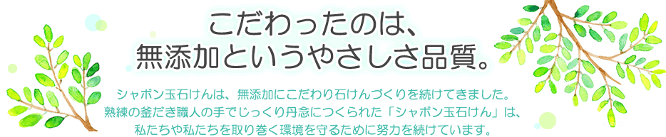 こだわったのは、無添加というやさしさ品質