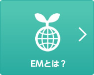 EMとは？